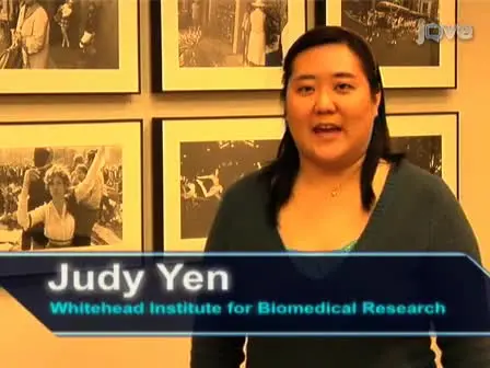 Vaccinia Virus Infection &amp; Temporal Analysis of Virus Gene Expression: Part 1
