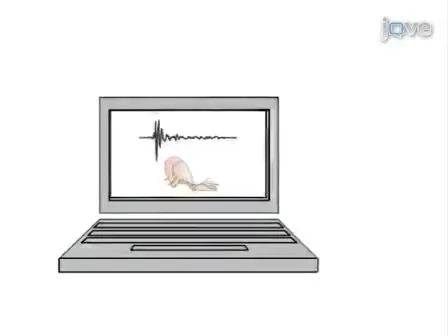 Recordings of Neural Circuit Activation in Freely Behaving Animals