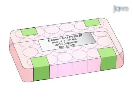 An <em>In Vitro</em> Skin Irritation Test (SIT) using the EpiDerm Reconstructed Human Epidermal (RHE) Model