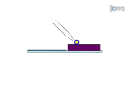 Live Dissection of <em>Drosophila</em> Embryos: Streamlined Methods for Screening Mutant Collections by Antibody Staining