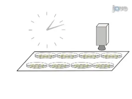 Robotics and Dynamic Image Analysis for Studies of Gene Expression in Plant Tissues