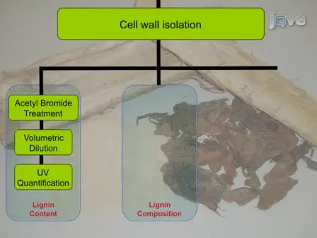 Comprehensive Compositional Analysis of Plant Cell Walls (Lignocellulosic biomass) Part I: Lignin