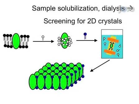 Assessing Two-dimensional Crystallization Trials of Small Membrane Proteins for Structural Biology Studies by Electron Crystallography