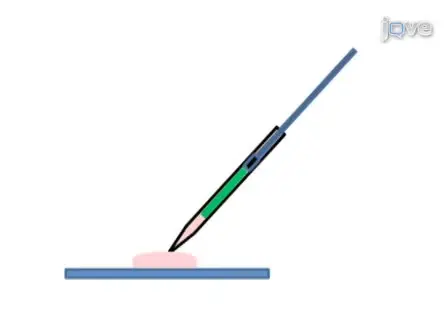 Targeting of Deep Brain Structures with Microinjections for Delivery of Drugs, Viral Vectors, or Cell Transplants