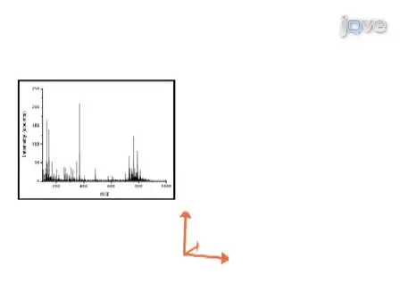 Atmospheric-pressure Molecular Imaging of Biological Tissues and Biofilms by LAESI Mass Spectrometry