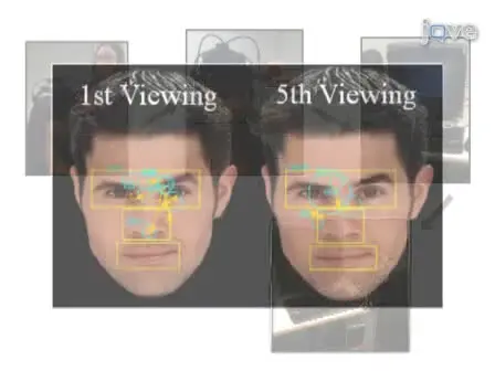 Eye Movement Monitoring of Memory