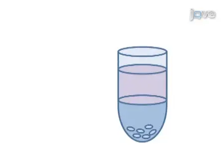 Visualization of the Embryonic Nervous System in Whole-mount <em>Drosophila</em> Embryos
