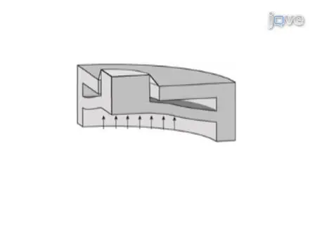Microfabricated Platforms for Mechanically Dynamic Cell Culture