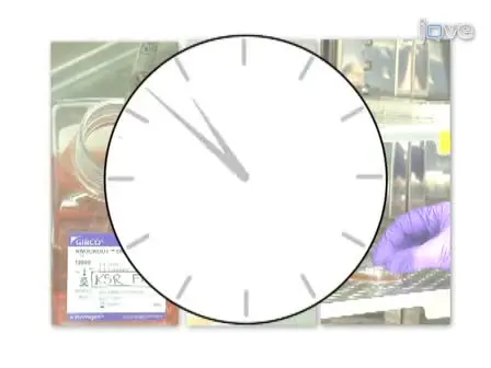 Feeder-Free Adaptation, Culture and Passaging of Human IPS Cells using Complete KnockOut Serum Replacement Feeder-Free Medium