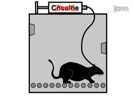 A Procedure for Studying the Footshock-Induced Reinstatement of Cocaine Seeking in Laboratory Rats 