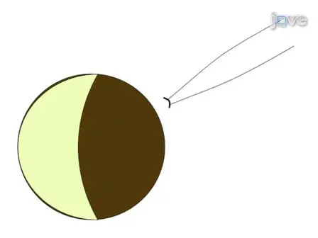 Patch Clamp and Perfusion Techniques for Studying Ion Channels Expressed in <em>Xenopus</em> oocytes