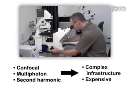 High-resolution Fiber-optic Microendoscopy for <em>in situ</em> Cellular Imaging