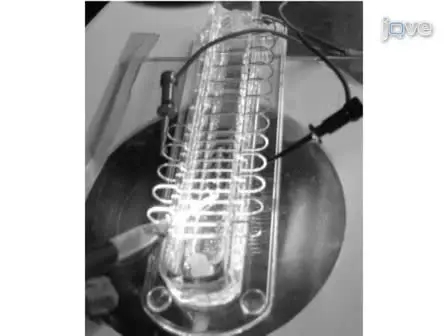 Modeling Biological Membranes with Circuit Boards and Measuring Electrical Signals in Axons: Student Laboratory Exercises