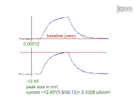 Measurement of Bioelectric Current with a Vibrating Probe