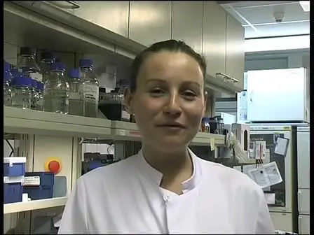 Production of Chick Embryo Extract for the Cultivation of Murine Neural Crest Stem Cells