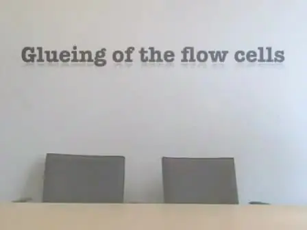 <em>Pseudomonas aeruginosa</em> and <em>Saccharomyces cerevisiae</em> Biofilm in Flow Cells