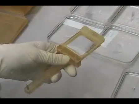 Mechanical Stimulation of Stem Cells Using Cyclic Uniaxial Strain