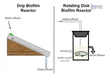 The Use of Drip Flow and Rotating Disk Reactors for <em>Staphylococcus aureus</em> Biofilm Analysis