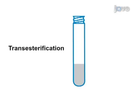 <em>Arabidopsis thaliana</em> Polar Glycerolipid Profiling by Thin Layer Chromatography (TLC) Coupled with Gas-Liquid Chromatography (GLC)