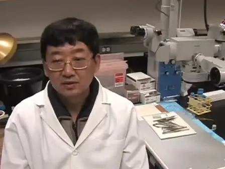 Small Bowel Transplantation In Mice