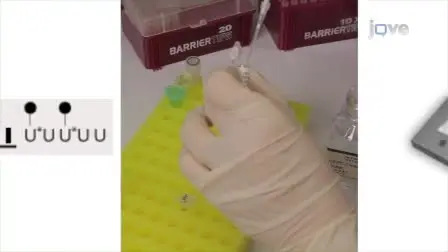 Microarray Analysis for <em>Saccharomyces cerevisiae</em>