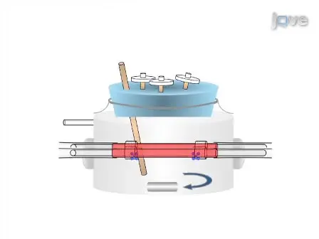 Engineering Biological-Based Vascular Grafts Using a Pulsatile Bioreactor