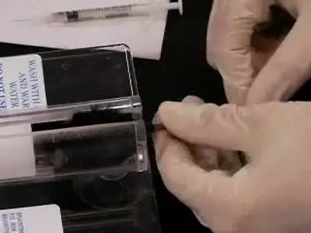 Dissection and 2-Photon Imaging of Peripheral Lymph Nodes in Mice