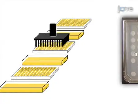 High-throughput Yeast Plasmid Overexpression Screen