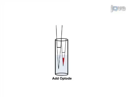 Fluorescent Nanoparticles for the Measurement of Ion Concentration in Biological Systems