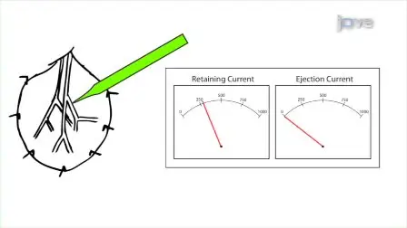 Microiontophoresis and Micromanipulation for Intravital Fluorescence Imaging of the Microcirculation
