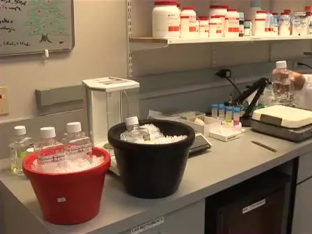 Automated Hydrophobic Interaction Chromatography Column Selection for Use in Protein Purification