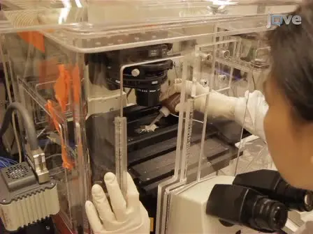 Use of an Optical Trap for Study of Host-Pathogen Interactions for Dynamic Live Cell Imaging