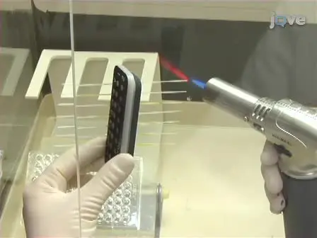 An Allelotyping PCR for Identifying <em>Salmonella enterica</em> serovars Enteritidis, Hadar, Heidelberg, and Typhimurium