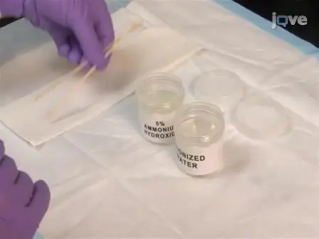 Specimen Preparation, Imaging, and Analysis Protocols for Knife-edge Scanning Microscopy