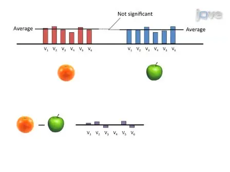 Cross-Modal Multivariate Pattern Analysis