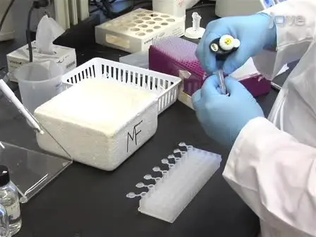 Direct Detection of the Acetate-forming Activity  of the Enzyme Acetate Kinase