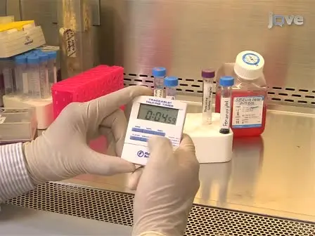 Labeling Stem Cells with Ferumoxytol, an FDA-Approved Iron Oxide Nanoparticle