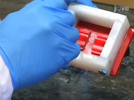 Synthetic, Multi-Layer, Self-Oscillating Vocal Fold Model Fabrication