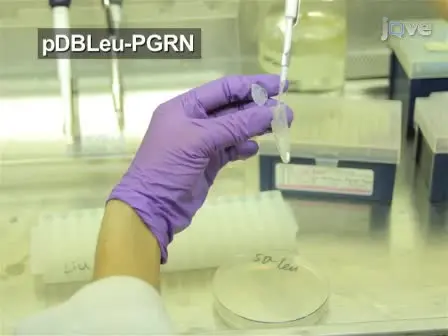 Modified Yeast-Two-Hybrid System to Identify Proteins Interacting with the Growth Factor Progranulin