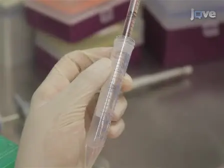 A 3D System for Culturing Human Articular Chondrocytes in Synovial Fluid