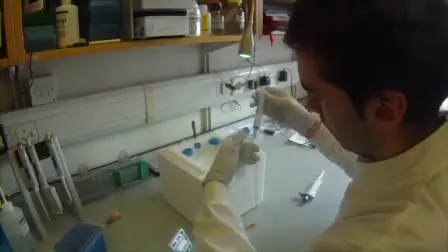 Identification of Protein Interacting Partners Using Tandem Affinity Purification