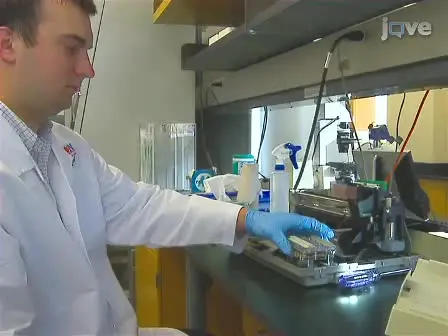 Creating Transient Cell Membrane Pores Using a Standard Inkjet Printer