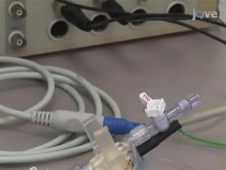 Measuring Left Ventricular Pressure in Late Embryonic and Neonatal Mice