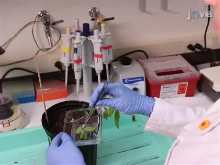 Profiling Thiol Redox Proteome Using Isotope Tagging Mass Spectrometry