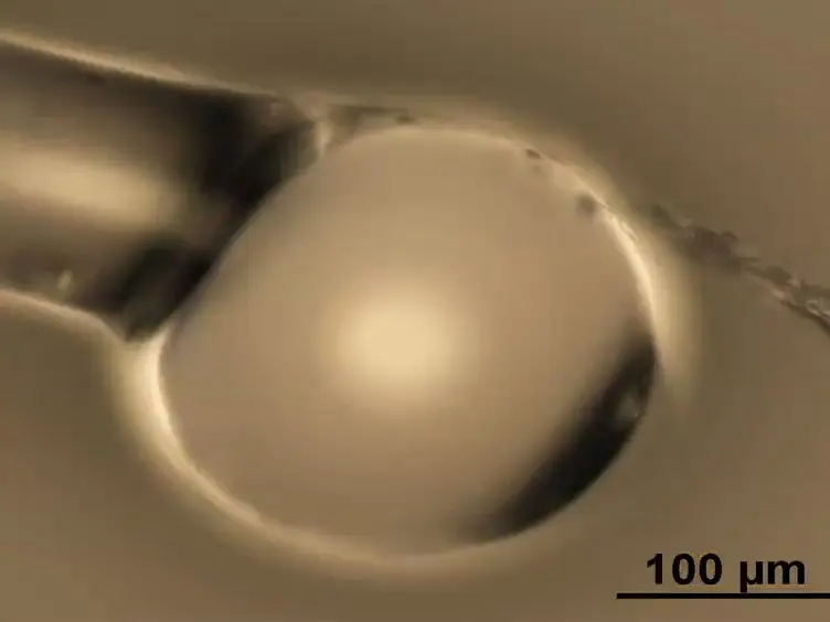 Attaching Biological Probes to Silica Optical Biosensors Using Silane Coupling Agents