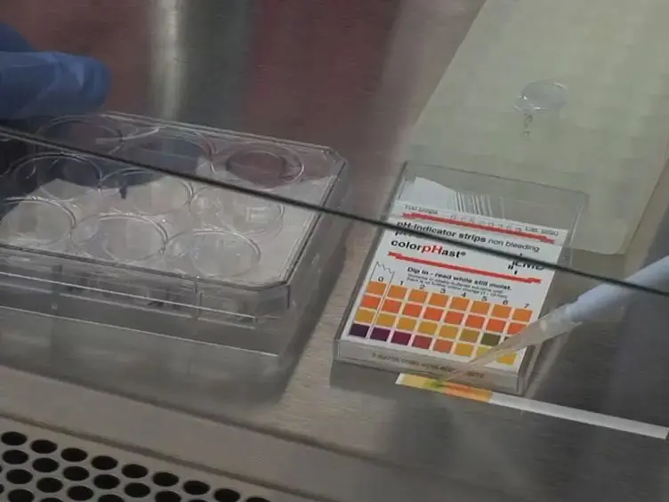 Engineering a Bilayered Hydrogel to Control ASC Differentiation