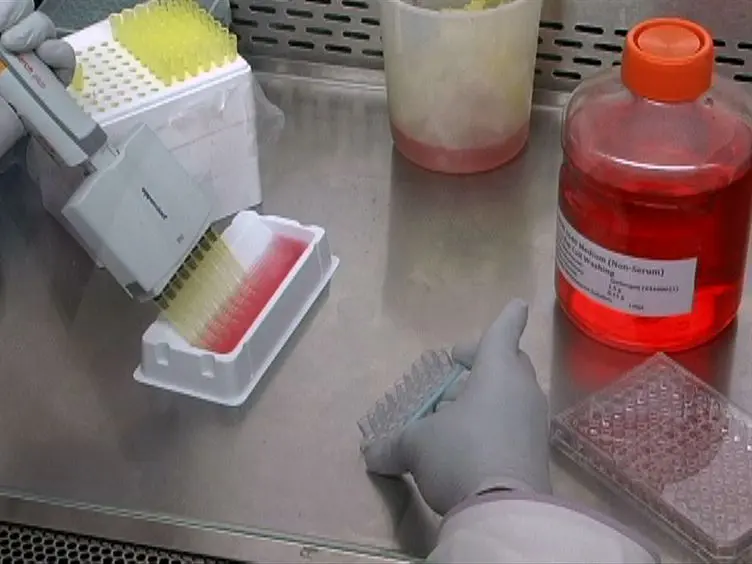 A Parasite Rescue and Transformation Assay for Antileishmanial Screening Against Intracellular <em>Leishmania donovani </em>Amastigotes in THP1 Human Acute Monocytic Leukemia Cell Line