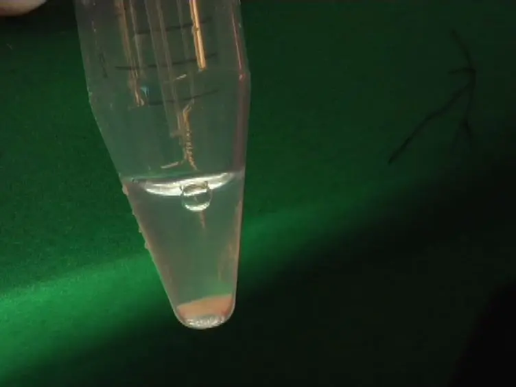 An Optimized Procedure for Fluorescence-activated Cell Sorting (FACS) Isolation of Autonomic Neural Progenitors from Visceral Organs of Fetal Mice