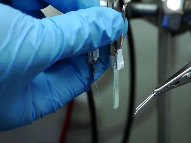 Bridging the Bio-Electronic Interface with Biofabrication