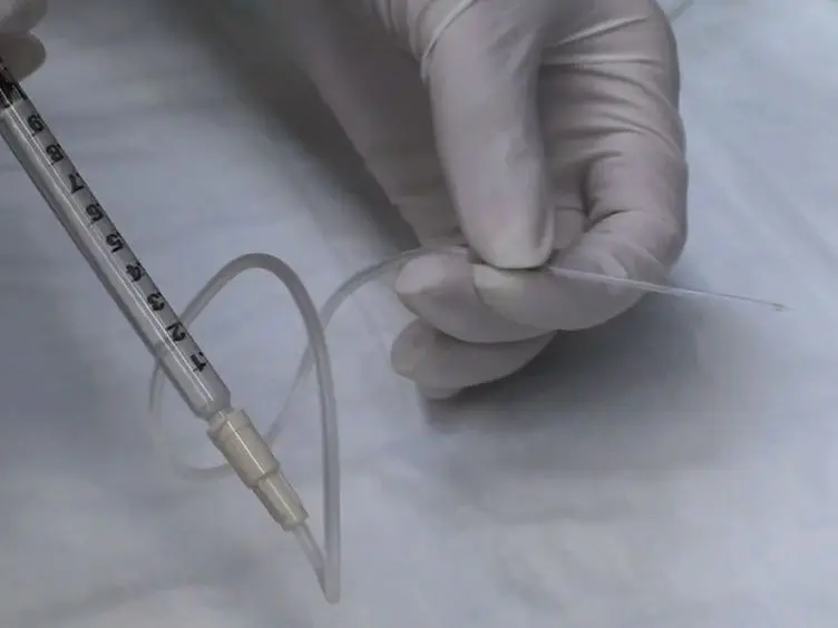 Subretinal Injection of Gene Therapy Vectors and Stem Cells in the Perinatal Mouse Eye
